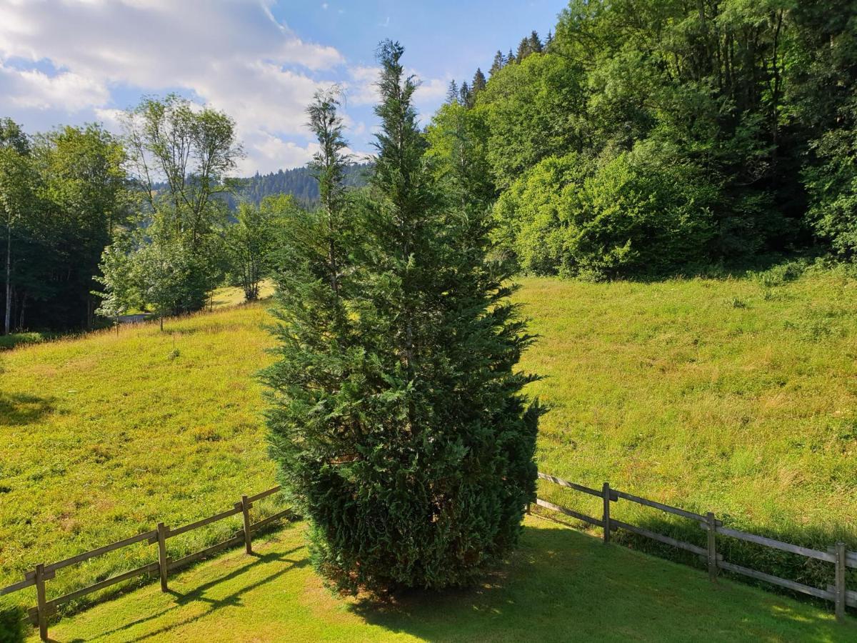 Le Bois Joli Chalet 4 Etoiles Cledicihome Cadre Paisible En Lisiere De Foret เฌราร์แมร์ ภายนอก รูปภาพ