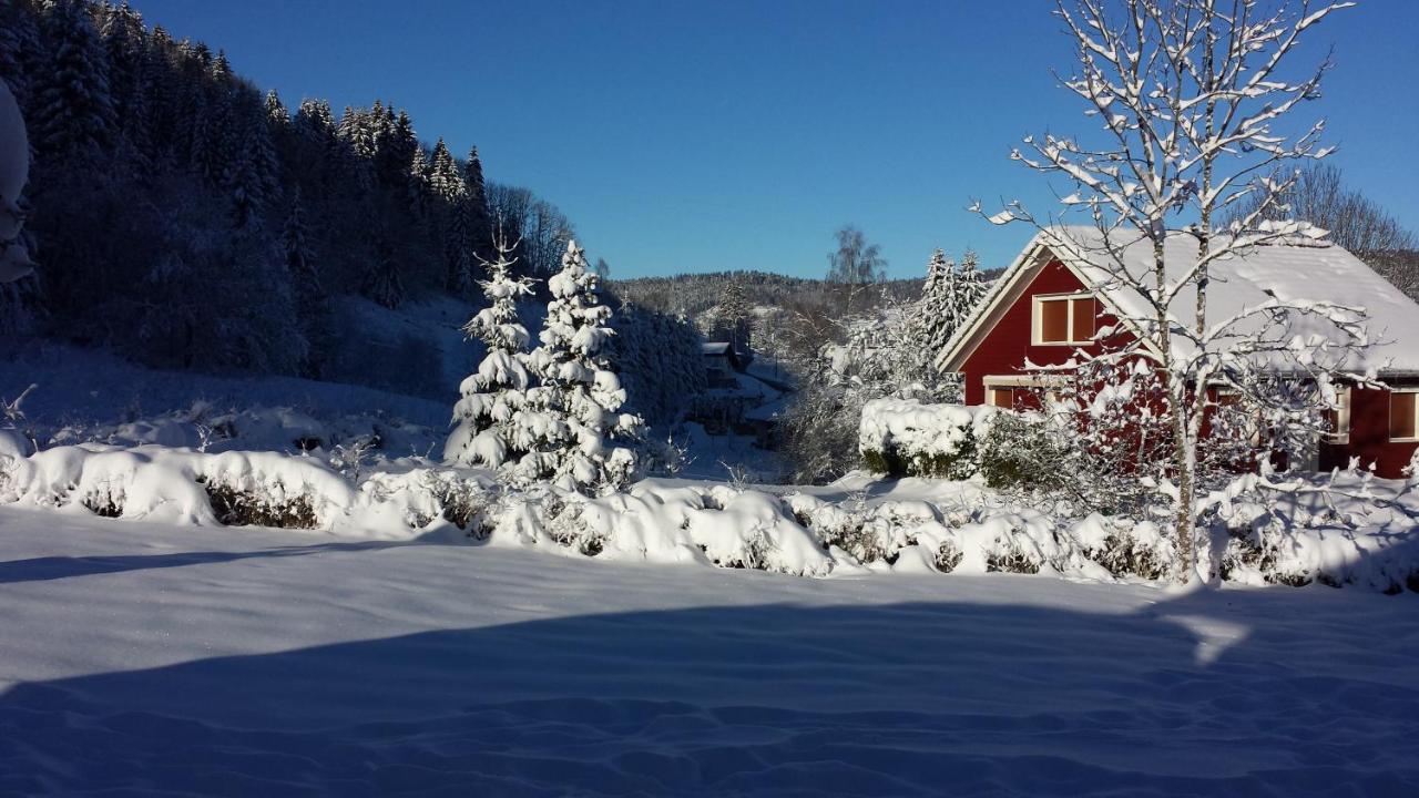 Le Bois Joli Chalet 4 Etoiles Cledicihome Cadre Paisible En Lisiere De Foret เฌราร์แมร์ ภายนอก รูปภาพ