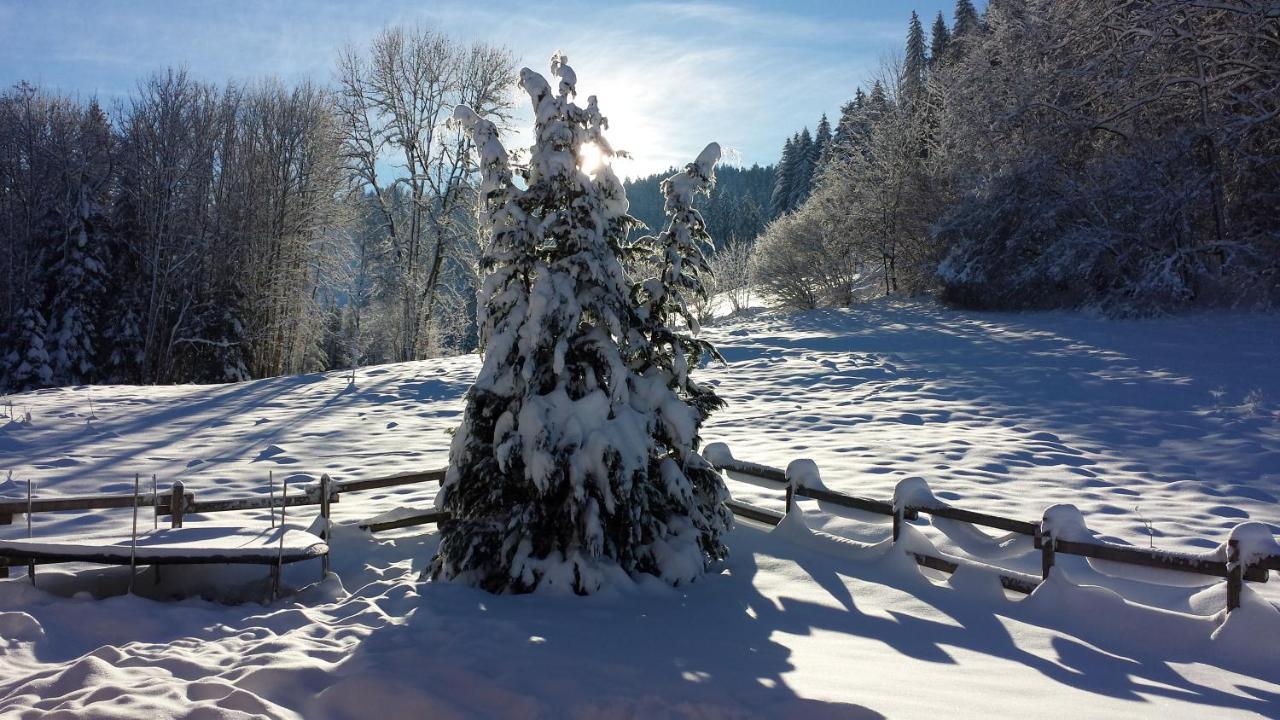 Le Bois Joli Chalet 4 Etoiles Cledicihome Cadre Paisible En Lisiere De Foret เฌราร์แมร์ ภายนอก รูปภาพ